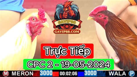 CPC2 01/05/2024 TRẬN 6, A.TUẤN ĐẠI NÁO THOMO.